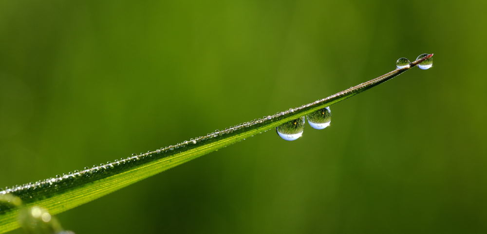 3. Platz Robert Seitz